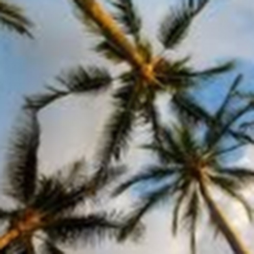 Meet your Posher, Ani